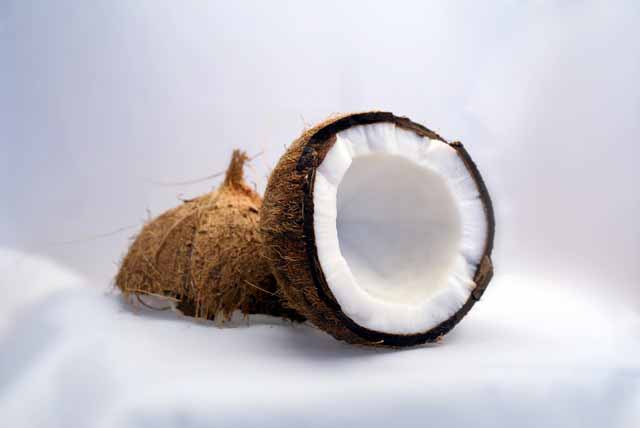coconut fruit